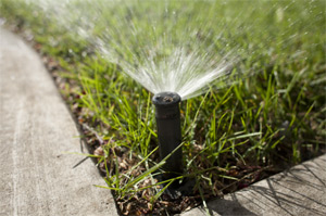 a sprinkler head optimized by our Baytown irrigation contractors