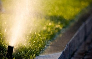 our Baytown sprinkler installation team suggests watering should be done in the morning